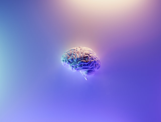 Why It’s Important to Protect our Brain