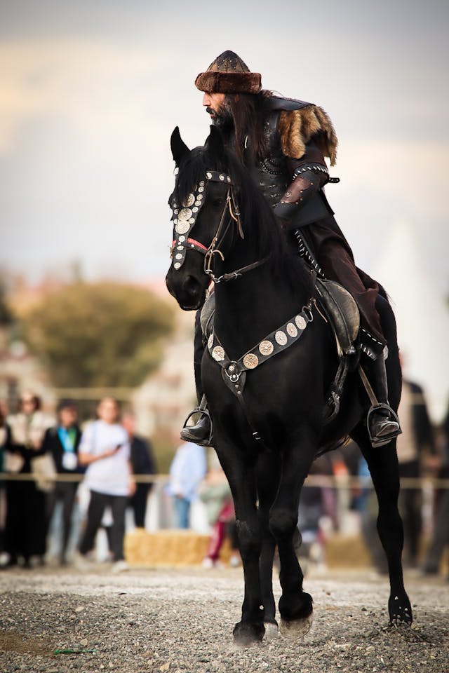 cosplay medieval knight