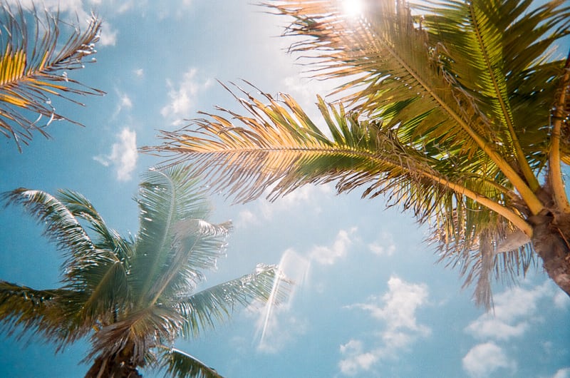 sunny day