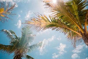 sunny day