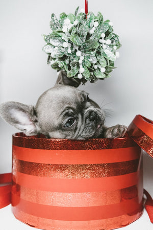 Moving During The Holiday Season: 5 Moving Away Gifts For Family And Friends