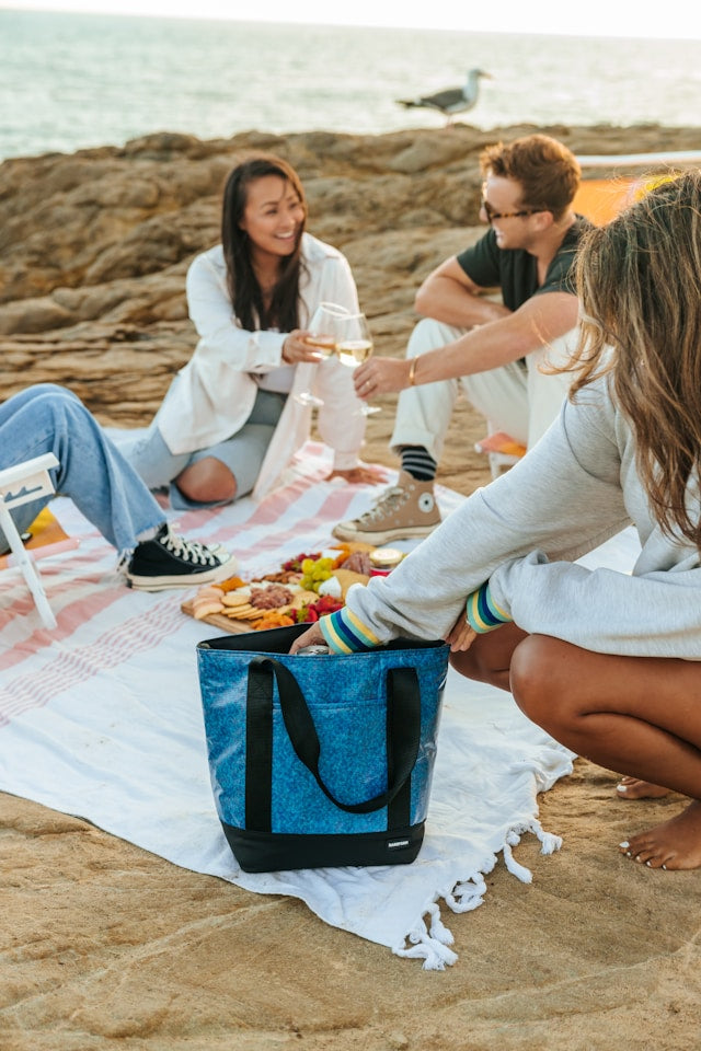 picnic with friends