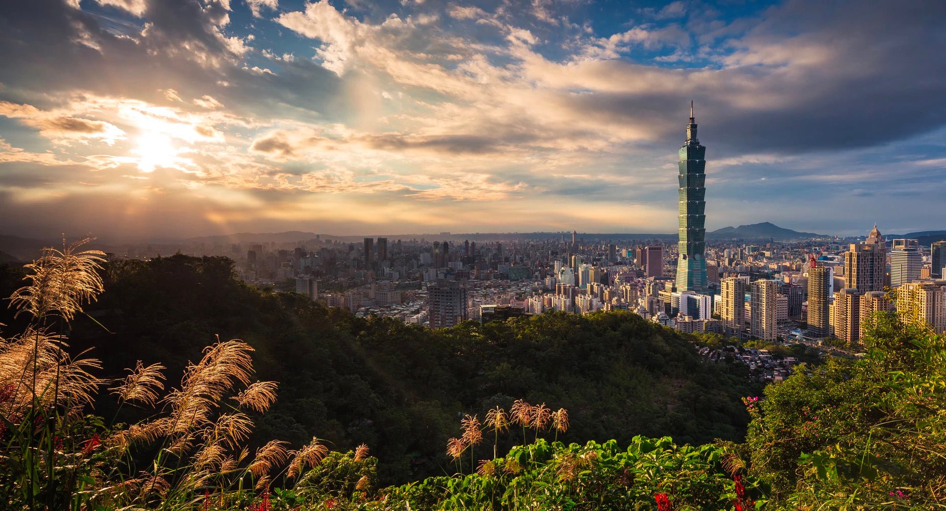 Take a Piece Of Taiwan With you - MIKOL