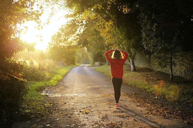 wellness journey